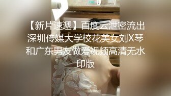 绝对领域 LY-010 小姨子与我的乱伦之恋