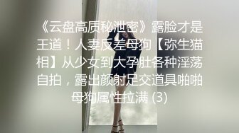 《云盘高质秘泄密》露脸才是王道！人妻反差母狗【弥生猫相】从少女到大孕肚各种淫荡自拍，露出颜射足交道具啪啪母狗属性拉满 (3)