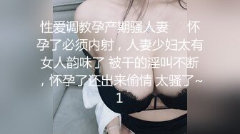 性爱调教孕产期骚人妻❤️怀孕了必须内射，人妻少妇太有女人韵味了 被干的淫叫不断，怀孕了还出来偷情 太骚了~1