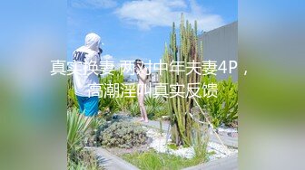 MD-0190-5 苏畅 我是苏畅 我回来了 海滩露出玩弄雪白巨乳 麻豆传媒映画