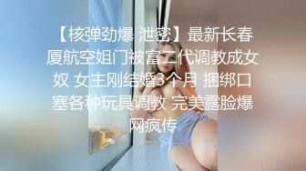 -年度核弹 绿帽夫妻 小鲸鱼 小海怪 海贼老僧 付费群P啪啪露出福利 (23)