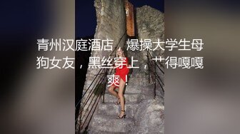 大神【淡定小郎君】10月11月最全约啪 各女神 26V超级大集合！部分妹子露脸 有大长腿人妻 可爱萝莉学生妹，丝袜大长 (11)