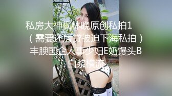 高颜值巨乳模特约炮土豪自拍外流，沦为土豪玩物