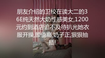 欧美一区二区三区免费A级视频