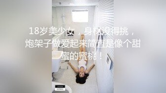 爆乳E奶大长腿BeautyLeg腿模Ailen火爆剧情性爱流出