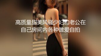 高质量甜美风骚少妇和老公在自己房间内各种做爱自拍