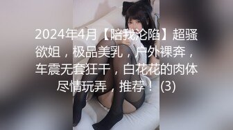 2024年4月【陪我沦陷】超骚欲姐，极品美乳，户外裸奔，车震无套狂干，白花花的肉体尽情玩弄，推荐！ (3)