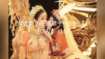 鸭王.The Gigolo（蓝光高清国语中字