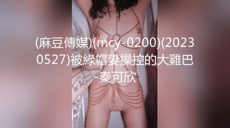 绝对领域传媒 LY017 巨乳少妇职场规则