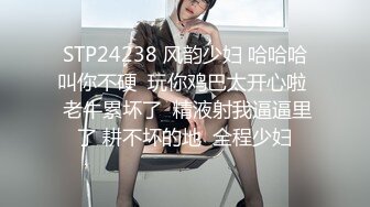 我的大胸前女友2