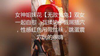 后入前女友系列