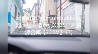 精海狂飙Premiumbukkake超大量吞精系列X265压制资源合集【111V】 (3)