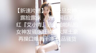 即含即插ＯＫ的绝对领域侍奉女仆