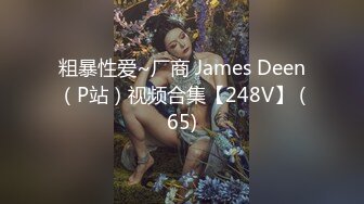 粗暴性爱~厂商 James Deen（P站）视频合集【248V】 (65)