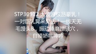 麻豆传媒 mcy 0152 外拍惨遭迷奸美少女 徐蕾