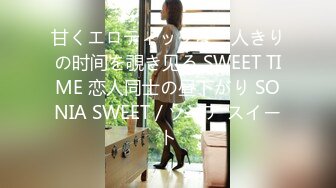 甘くエロティックな二人きりの时间を覗き见る SWEET TIME 恋人同士の昼下がり SONIA SWEET / ソニア スイート