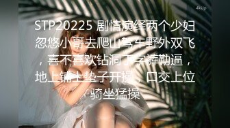 兔子先生TZ-085 前女友订婚礼物-绫波丽