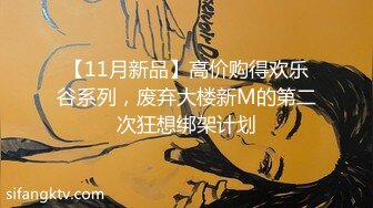 【11月新品】高价购得欢乐谷系列，废弃大楼新M的第二次狂想绑架计划