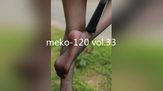 meko-120 vol.33